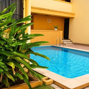 a swimming pool in front of a house with a plant at Casafern Homestay Goa in Varca