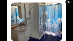 a bathroom with a shower and a sink and an aquarium at Zenitude in Goumoens-la-Ville