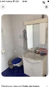 a bathroom with a sink and a toilet and a mirror at Zenitude in Goumoens-la-Ville
