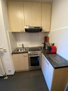 a small kitchen with a sink and a stove at Kornblick in Korntal-Münchingen +2 photos