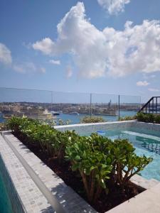 a swimming pool with a view of the water at Ursulino Valletta in Valletta