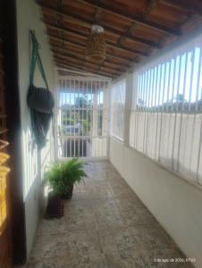 a balcony with a plant in a room with windows at hostel xamã in Flecheiras