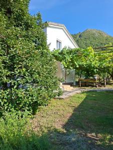 a white house with a picnic table in a yard at Village house Tea in Virpazar