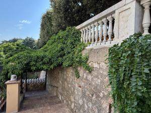 a ivy covered stone wall with a fence at Edera Rooms in Tolfa