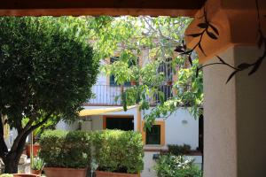 a building with trees and plants in front of it at Appartamento Mura in Forio d'Ischia