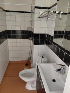 a bathroom with a white toilet and a sink at Old appartment in Helsingborg