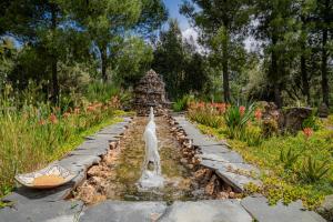 a fountain in the middle of a garden at Diar illi in Touama