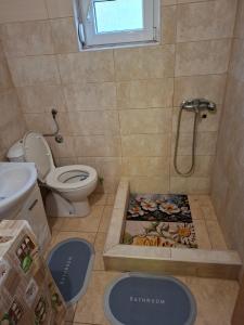 a bathroom with a shower with a drain in the floor at Village house Tea in Virpazar