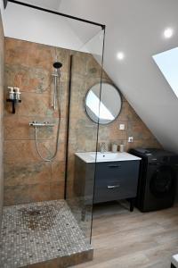 a bathroom with a shower with a sink and a mirror at Superbe Loft proche Troyes & Parking facile in Arcis-sur-Aube +12 photos