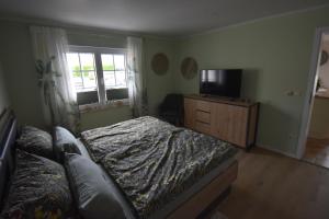 ein Schlafzimmer mit einem Bett und einem Fernseher auf einer Kommode in der Unterkunft Ferienwohnung Wesernest in Hessisch Oldendorf