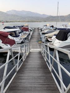 ein Dock mit mehreren im Wasser vertäuten Booten in der Unterkunft Diva Catamarano in Feriolo