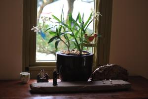 Fotografie z fotogalerie ubytování 雲庭民宿 Yunting B&B v destinaci Dongshan
