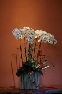 Fotografie z fotogalerie ubytování 雲庭民宿 Yunting B&B v destinaci Dongshan