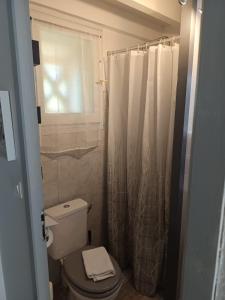 a bathroom with a toilet and a shower curtain at MAISON BISCARROSSE LAC 6 pers in Biscarrosse +33 photos