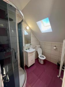 a bathroom with a toilet and a sink and a shower at Calypso Rooms in Făgăraş +19 photos