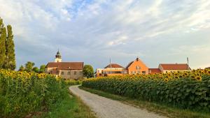 a path through a field of sunflowers with a village at Rosenhotel - Serviced Apartments in Zwentendorf