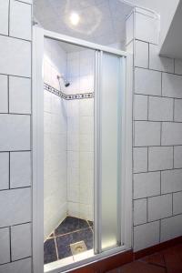 ブダペストにあるシティ センター コージー アパートメントのバスルーム(ガラスドア付きのシャワー付)