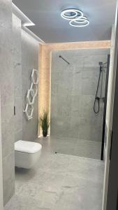 a bathroom with a shower and a toilet and a shower at Stodoła przy deptaku in Ujsoły