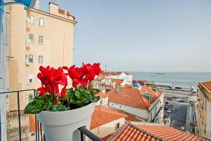 a flower pot on a balcony with red flowers at River View Alfama Historic Lisbon in Lisbon