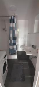 a small bathroom with a toilet and a sink at Apartmani Ela 2 3 in Sierning