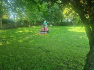 two children playing on a toy train in a yard at Oyster Lodge shared accomadation in Galway