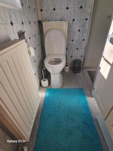 a bathroom with a toilet and a blue rug at De Weerribben Wieden, Natuurhuisje in Wanneperveen