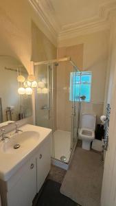 a bathroom with a shower and a sink and a toilet at Spacious Triple Studio Room, Private En-Suite & Kitchenette R6 in Sketty