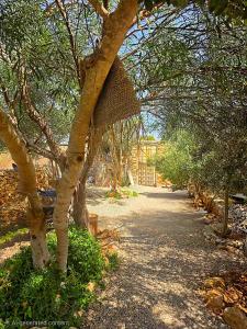 a bird feeder hanging from a tree in a park at Beach House with Sea Views and Rooftop Terrace in Sidi Kaouki +17 photos