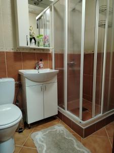 a bathroom with a shower and a sink and a toilet at Apartman Harmonija Vrnjačka Banja in Vrnjačka Banja +57 photos