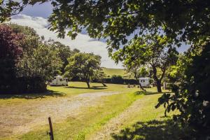 a campsite with trees and a dirt road at Leto Shepherds Hut By Airpremier in Alfriston +19 photos