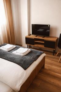 a hotel room with a bed and a flat screen tv at Apartament w Parku 5 in Żywiec