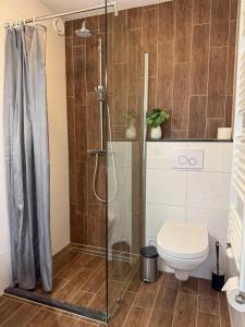 a bathroom with a shower and a toilet at Texelheerlijk 10 in De Koog