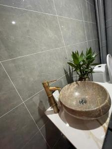 a bathroom with a sink with a plant on a counter at BalaHomestay BalaHouse in Lạc Thành