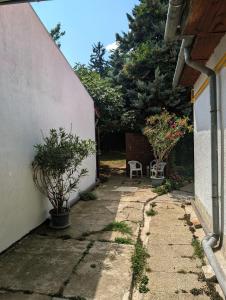 a courtyard of a house with a chair and trees at B59 mini in Budakalász +2 photos