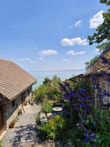 a garden with purple flowers next to a building at Zora Vendégház in Tihany +14 photos