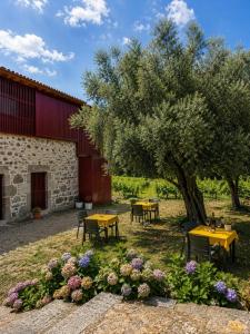 a garden with tables and a tree next to a barn at Quinta de Chousas - Braga - Agroturismo in Braga