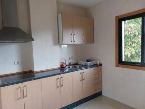 a kitchen with wooden cabinets and a sink and a window at O LAR DO SIL - Ribeira Sacra in Villar de Cerreda +5 photos