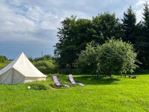 two chairs in a field next to a tent at Vallimäe Glamping Otepää in Mägestiku +8 photos