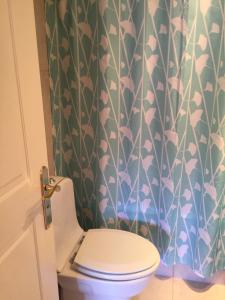 a bathroom with a toilet and a shower curtain at Apartamento Edificio Genova in Viña del Mar