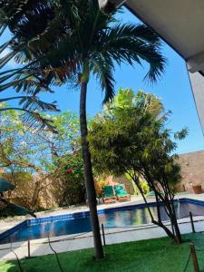 two palm trees next to a swimming pool at Pousada Legno Bossa Nova in Maceió