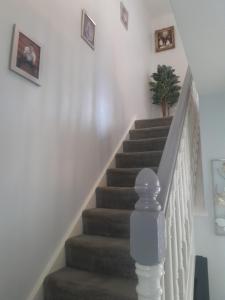 a stairway with a plant on top of it at Seville Grove in Kilkenny +2 photos