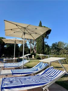 drei Liegestühle und Sonnenschirme auf dem Rasen in der Unterkunft Relais Villa Sofia in Calcinelli