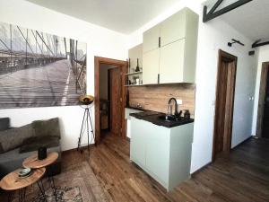 a kitchen with a sink and a counter in a room at Horizont 360 Gold in Vrnjačka Banja +14 photos