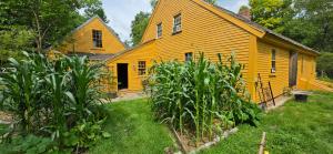 an old yellow house with a yard with plants at JOSIAH KEITH HOUSE museum & inn in Five Corners