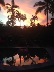 un coucher de soleil sur une piscine avec des palmiers en arrière-plan dans l'établissement Pink Flamingo Resort, à Port Douglas