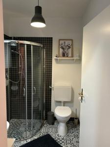 a bathroom with a toilet and a glass shower at Kleine Auszeit - Urlaub auf dem Bauernhof in Immenstedt +27 photos
