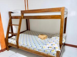 a bunk bed with a teddy bear on the bottom bunk at Queen's Guest House in El Nido
