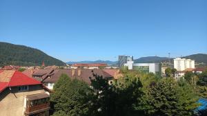a view of a city with buildings and trees at Panoramic Tower Room in Piatra Neamţ