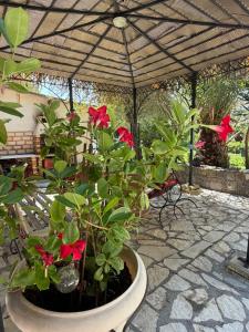 Gallery image of Le Mas des 2 vallons in Vallauris +44 photos