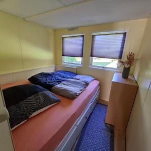 a small bedroom with a bed and two windows at casabandow in Schwaan